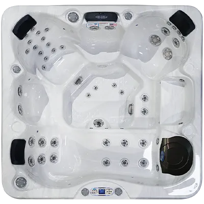 Avalon EC-849L hot tubs for sale in Pierre
